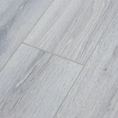 Дуб Норвежский