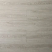 16169 Дуб Лэнгли