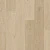 AVSPU40322 Дуб Береговой песчаный