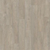 DISCOVERY - Hudson 2