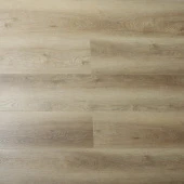 16166 Дуб Конви