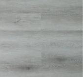 U1963 Дуб Дарвин