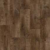 GLADIATOR - Saratoga 3