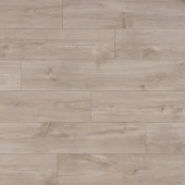 CLH 1655  Кубинский Дуб