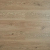 SH1703  Дуб Дерби