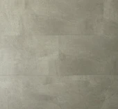  Q1954  ДУБ ДОРИ