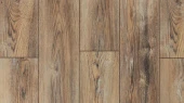  LM-07  Дуб Рим / Rome Oak