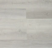 U1961 Дуб Албани 