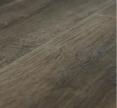 U1970 Дуб Дерби 