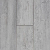 Дуб Паланга FP1101