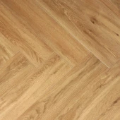 1616069 Дуб Растабан