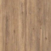 FP582 Дуб Престон