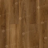 ЕСО 21-24 Ноктюрн