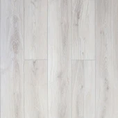 161113 Дуб Веласкес