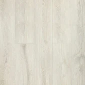 161116 Дуб Моне