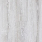 NC71 Дуб Экзо