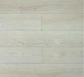 U1964 Дуб Рома 