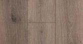 729 Дуб Даккар