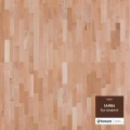 Samba