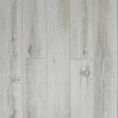 161117 Дуб Дали