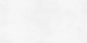 Betonica Blanco PRO Керамогранит светло-серый 60х120 матовый R10Soft