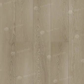 ECO 11-1802 Шварцвальд