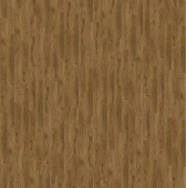 SGMPC20324 Коричневый осенний дуб