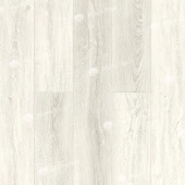 Шервудский лес ECO 9-10
