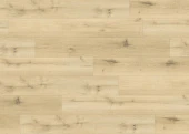 8310 Дуб Шампань