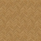 SGHBC20333 Дуб осенний медовый