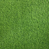 Грас / GRASS 35 мм