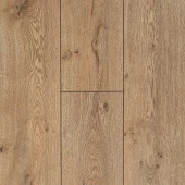 Дуб Раушен FP1102