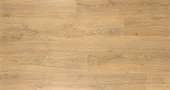 EPL156 Дуб Азгил медовый
