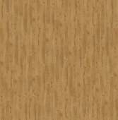SGMPC20323 Дуб осенний медовый