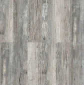 Дуб Тасмана 3003