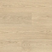 Каплан NC89