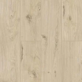 50747 Дуб Бирта