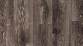  LM-09 Тис Амальфи / Amalfi Yew  