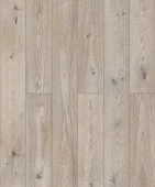 D50937 Дуб Митфорд