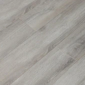  16143 Дуб Президент