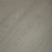 4218 Дуб Морозный