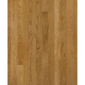 ДУБ ФЕРРАРА / Oak Ferrara