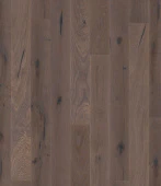 Дуб Элефант