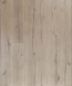 1811  Дуб Каньон