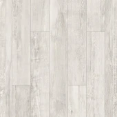 ID 102 Дуб Этюд