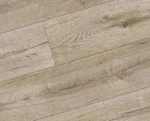 NC73 Дуб Оптима