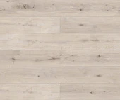 D50957 Дуб Мармион