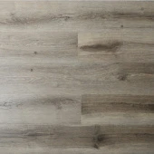 16163 Дуб Тауэр