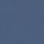 ACCZENT PRO ASPECT 11