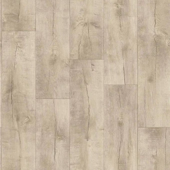 IDYLLE NOVA - Saratoga 5